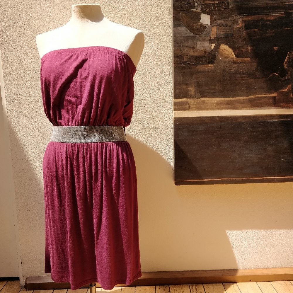 NWOT Chic tube dress